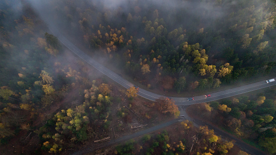 Fog over Taunus mountains, forest area and road - aerial view