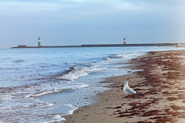 istock A the Baltic Sea in autumn 1285247638