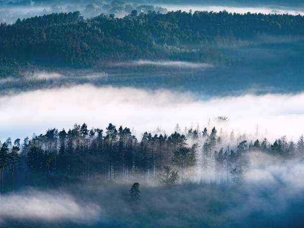 istock Misty Foggy Autumn landscape with sharp treetops 1285249171