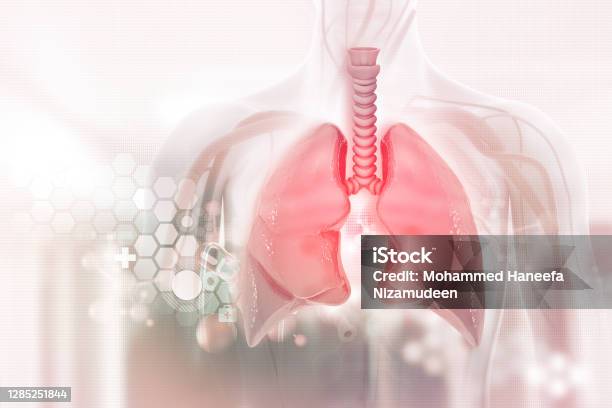 Human Lungs On Scientific Background3d Illustration Stock Photo - Download Image Now