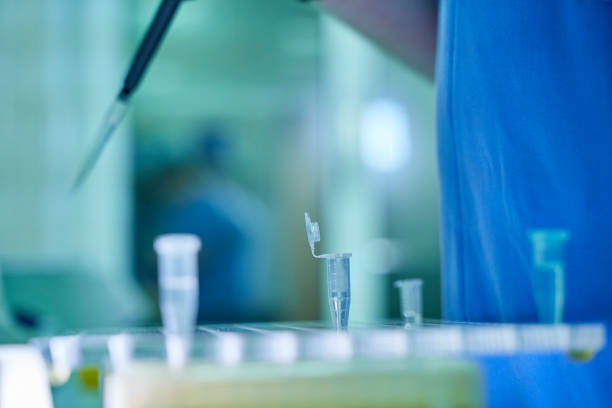 istock collection of patient tests in the laboratory 1285252705