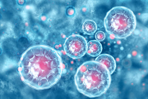 istock Viral disease, virus, bacteria, cell, 3d illustration 1285252775