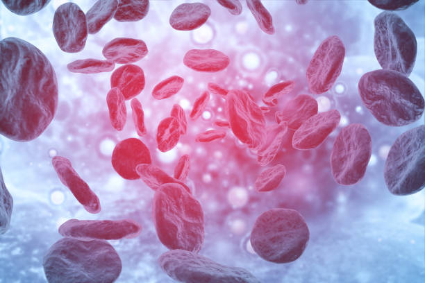 blood cells on scientific background.3d illustration - hematology imagens e fotografias de stock