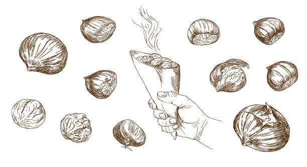 ilustrações de stock, clip art, desenhos animados e ícones de set of hand drawn illustration. hand holding grilled whole chestnuts. - chestnut tree