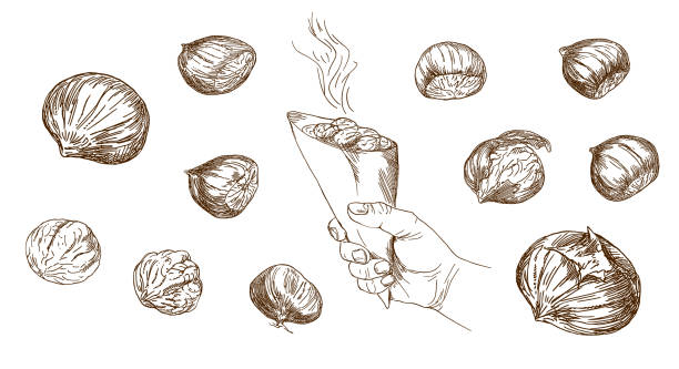 Set of hand drawn illustration. Hand holding grilled whole chestnuts. Set of hand drawn illustration. Hand holding grilled whole chestnuts. chestnut food stock illustrations