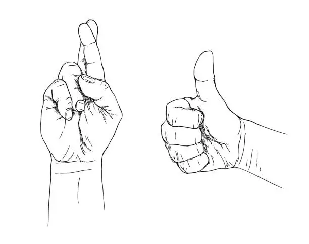 Vector illustration of People hand show fingers crossed and thumb up gesture.