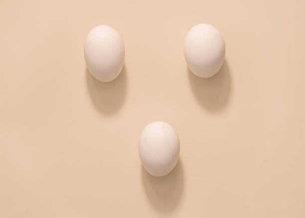 istock Overhead view of white chicken eggs 1285255056