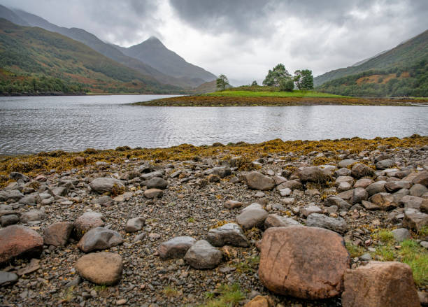istock Loch Life, Scotland 1285255094