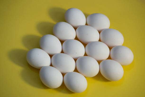 istock Overhead view of white chicken eggs 1285255119