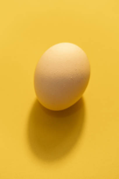 istock Overhead view of white chicken eggs 1285255326