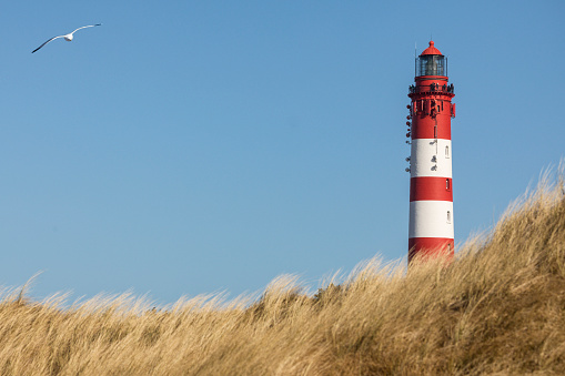 Schiermonnikoog panoramic view in the dunes with the lighthouse during sunset at the wadden island during a beautiful winter day. Schiermonnikoog is part of the Frisian Wadden Islands and is known for its beautiful natural scenery, including sandy beaches, rolling dunes, and lush wetlands.