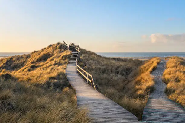 Wooden  footpath through the dunes to the beach of Norddorf on German North Sea island Amrum, late afternoon