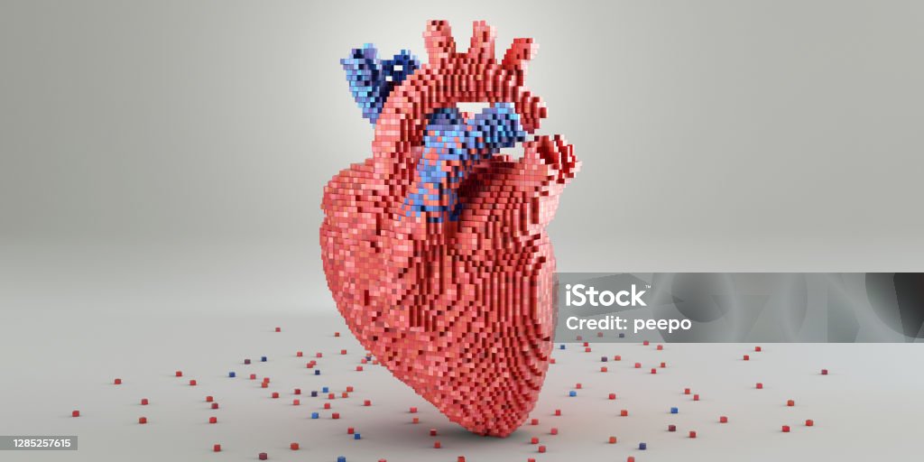 Medical Heart Model Made From Red and Blue Metallic Blocks A conceptual image of a 3D model of a heart made from small multi-toned red and blue blocks. The model rests on a plain white surface, surrounded by blocks scattered at its base. A plain background with copy space. Heart - Internal Organ Stock Photo