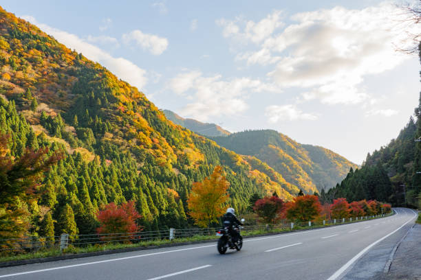 une moto fonctionnant sur la route faisant face aux montagnes automnal - autumn leaf nature november photos et images de collection