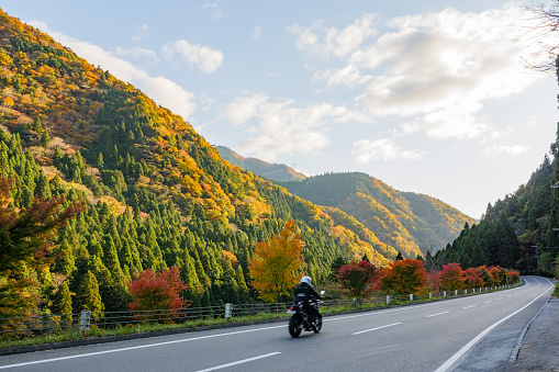 A motorcycle running on the road facing the autumnal mountains