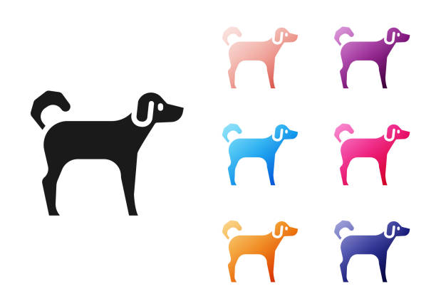 black dog symbol isoliert auf weißem hintergrund. setzen sie symbole bunt. vektor - color image retriever illustration technique horizontal stock-grafiken, -clipart, -cartoons und -symbole