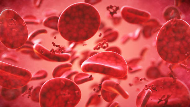 grossissement sur un groupe de globules rouges dans le plasma sanguin - blood cell photos et images de collection