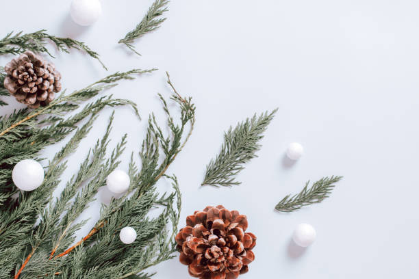 istock White minimal Christmas border with christmas tree branch, decor and cones, flat lay, copy space 1285262274
