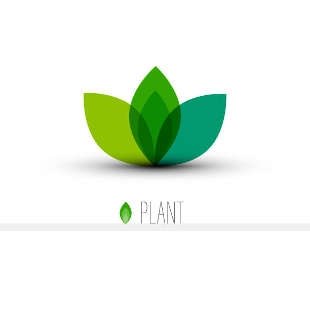 Plant Icon for Logo Designs - Green Leaves vector art illustration