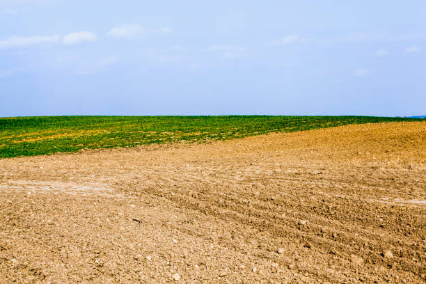istock ploughed fertile soil agricultural field 1285267395