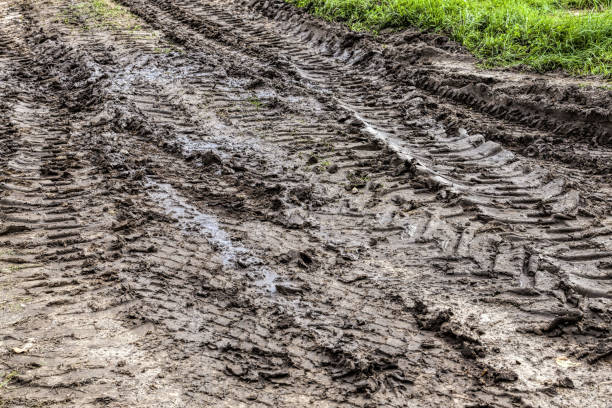 istock car tire tracks on a sandy road 1285267462