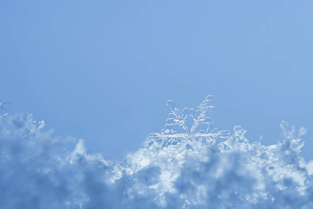 istock Snowflakes close-up. Macro photo. 1285268219