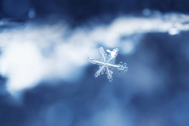 istock Snowflakes close-up. Macro photo. 1285268383