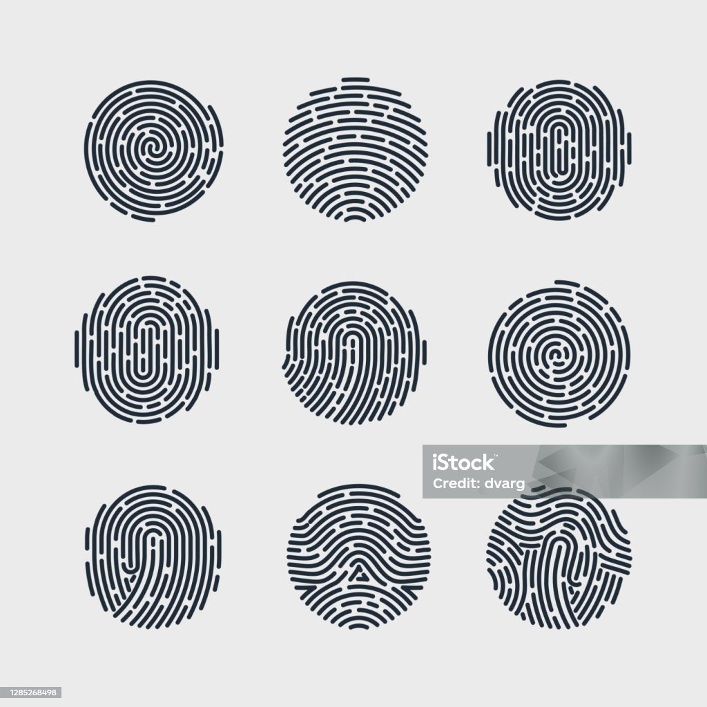 Fingerprint Patterns Stock Illustration - Download Image Now ...