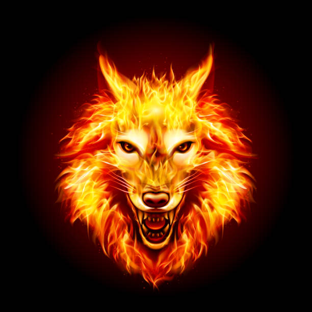 Fire Wolf () Fire Wolf