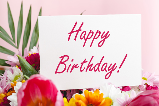 Más de 1000 imágenes de flores de cumpleaños | Descargar imágenes gratis en Unsplash Más de 1000 imágenes de flores de cumpleaños | Descargar imágenes gratis en Unsplash