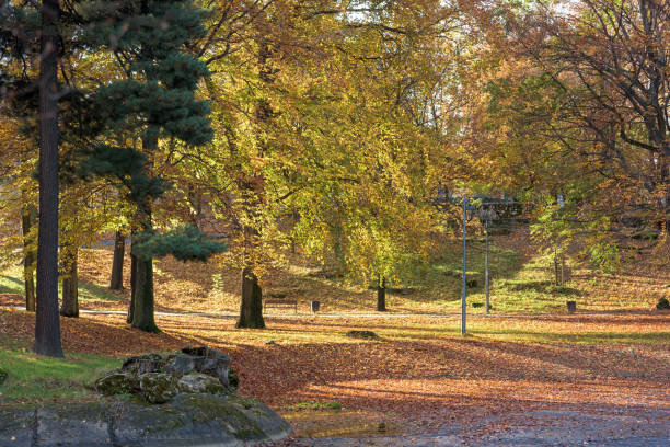 istock Colorful sunny autumn in a park 1285274541