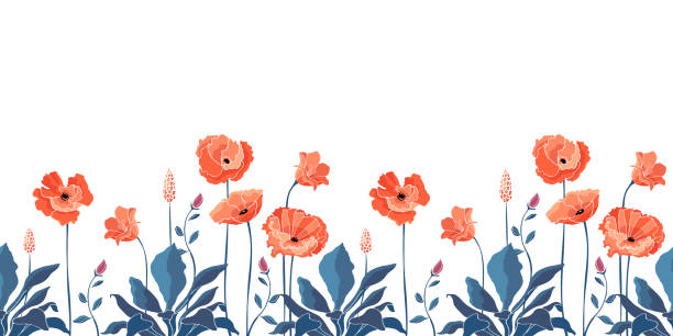 wektor kwiatowy bez szwu obramowania. kalifornijskie kwiaty maku, eschscholtzia. - flower flourishes paint backgrounds stock illustrations