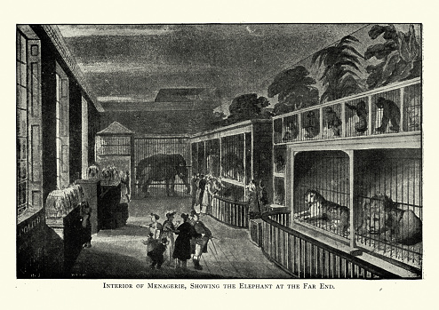 Vintage illustration of Menagerie of Mr Cross at Exeter Change, London, 1820s, 19th Century