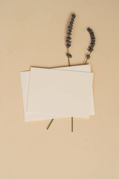 istock summer stationery mock-up scene 1285278994