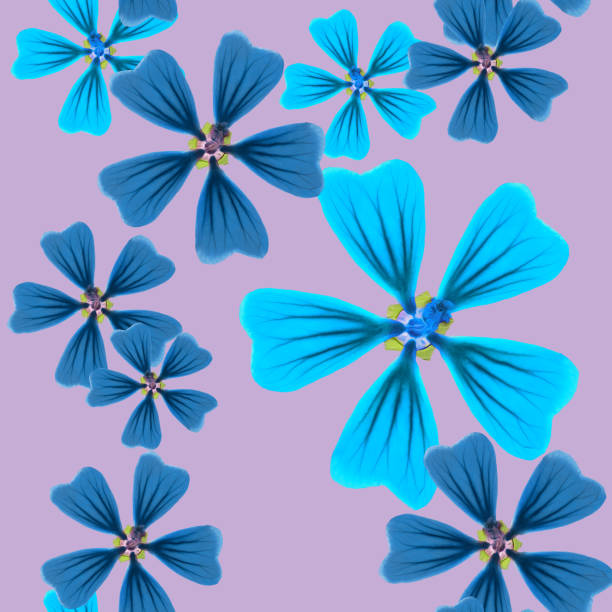 istock Lavatera, malva. Illustration, texture of flowers. Seamless pattern for continuous replication. Floral background, photo collage for textile, cotton fabric. For use in wallpaper, covers 1285280074