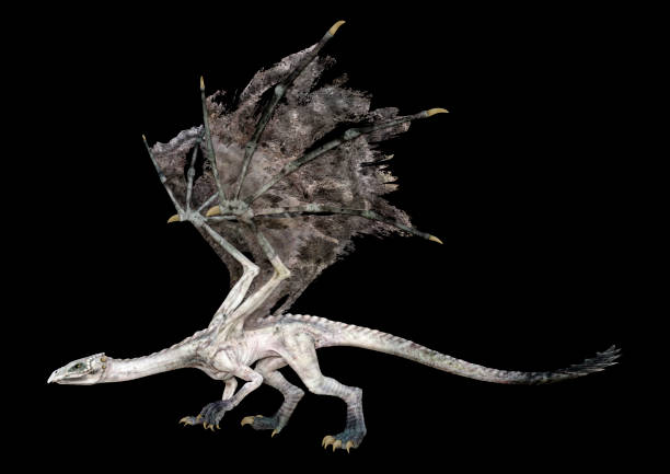 istock 3D illustration fantasy dragon on black 1285281137