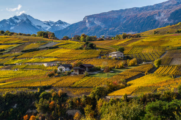 istock swiss alps landscape in autumn 1285282616