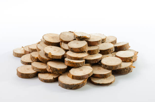 istock Stack of many little pieces of sawn pine branches 1285284503