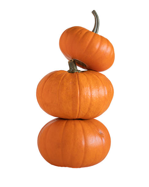 istock Three orange pumpkins isolated on white background 1285284799