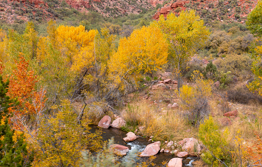 a scenci landscape inthe Verde river Canyon Arizona in autumn