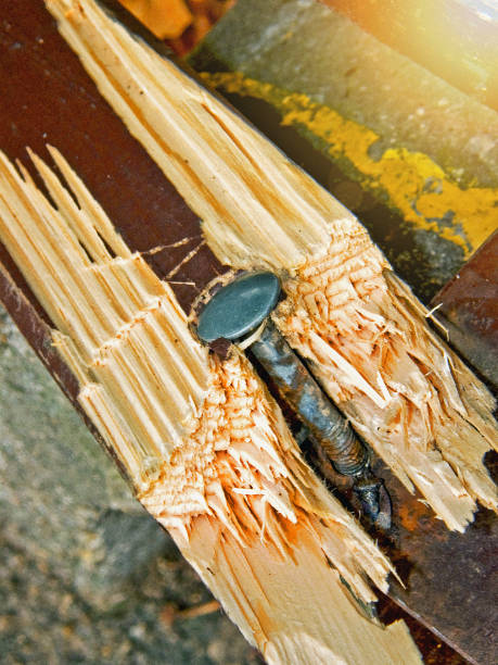 istock Bolt in timber on demolished bench in public  park 1285286799