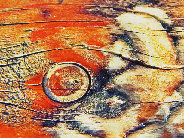 Texture of a knotted wooden board (Picture No 02)