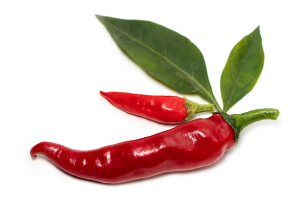 istock Fresh juicy peppers isolated on a white background 1285288504