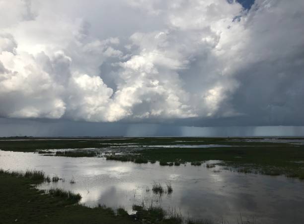 istock The wetland in sunset 1285289967
