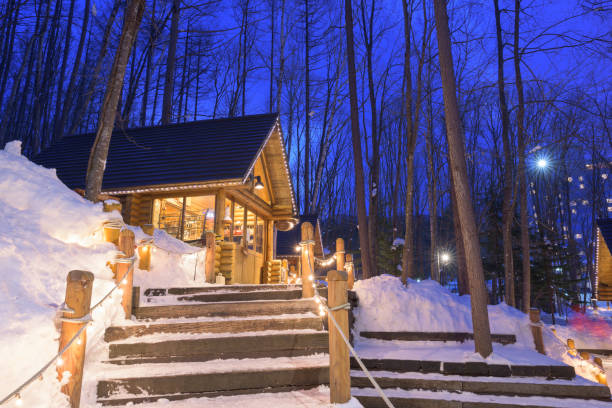istock Furano, Hokkaido, Japan winter cabins 1285290769