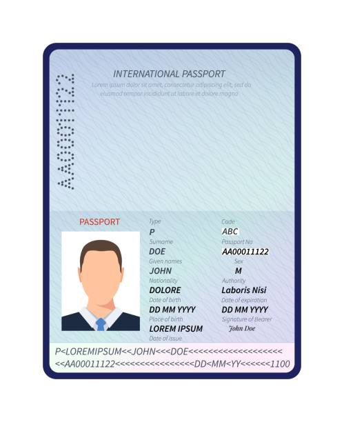 ilustraciones, imágenes clip art, dibujos animados e iconos de stock de pasaporte. documento de identificación abierto con retrato de foto masculino y espacio en blanco para la plantilla vectorial de sellos de visa de inmigración - passport watermark pattern backgrounds