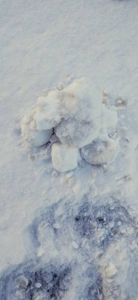istock Snowballs snowballs and more snowballs 1285296401