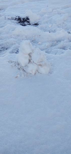 istock Ready for a snowball fight 1285296404