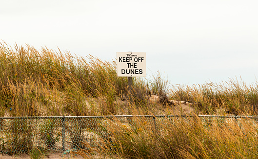 A sign warning people to please keep off the dunes at the beach at Robert Moses State Park surrounded by fall colored grass.