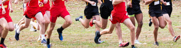 istock Legs of runners running race on grass field 1285298470